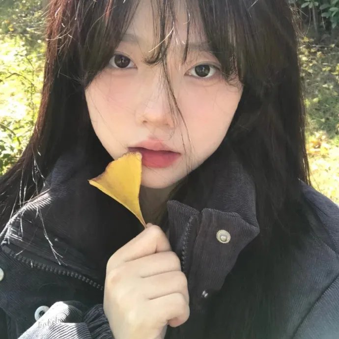 四季情